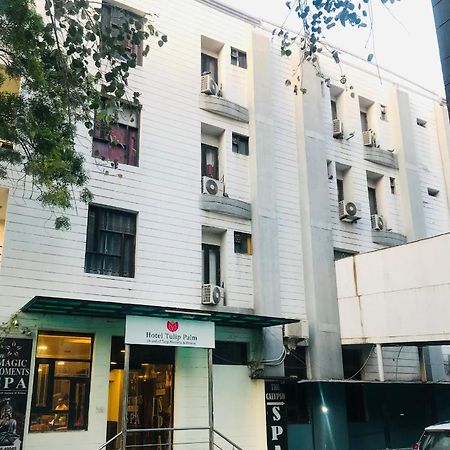Tulip Palm Hotel Dzsaipur Kültér fotó