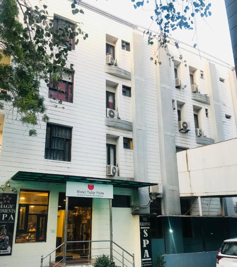 Tulip Palm Hotel Dzsaipur Kültér fotó